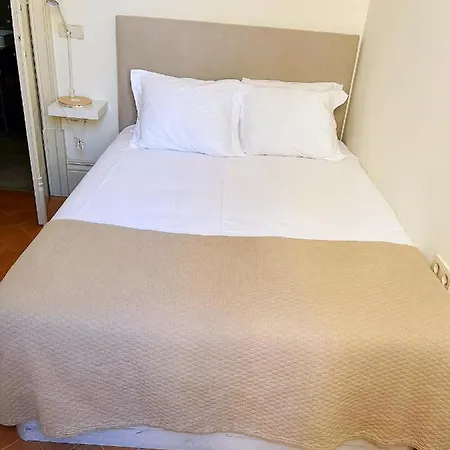 Lejlighed Paraiso Garden Suite--- Spacious & Downtown