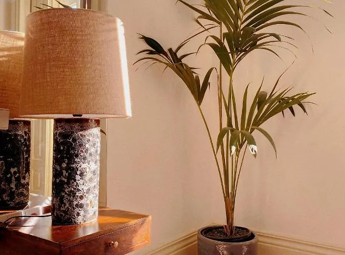 Paraiso Garden Suite--- Spacious & Downtown * 波尔图