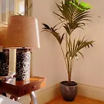 Paraiso Garden Suite--- Spacious & Downtown * Porto